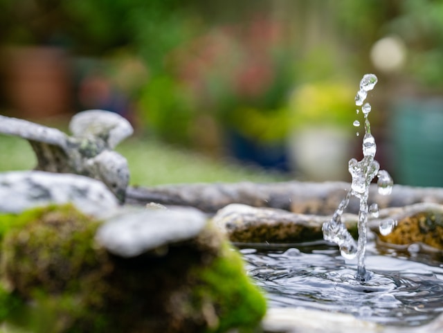 Jak oświetlić oczko wodne i fontanny w ogrodzie?