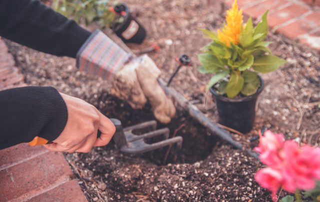 Jakie narzędzia ogrodnicze wykorzystać do sadzenia roślin?