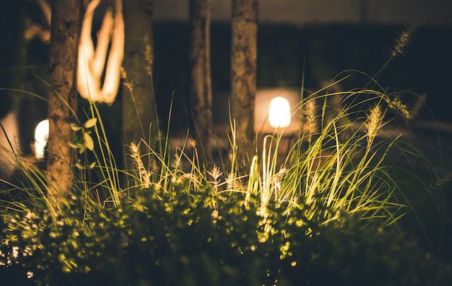 Jak zapewnić oświetlenie ogrodowe o niskim zużyciu energii?