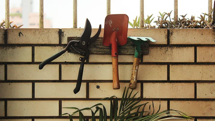 Jakie narzędzia ogrodnicze wybrać do usuwania chwastów?
