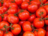 pomidory czerwone od słońca
