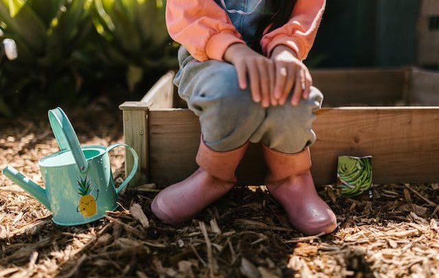Warzywa i owoce w ogródku dziecięcym: jak je pielęgnować?