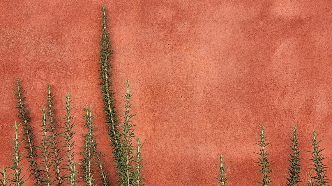 Jak urządzić ogród w stylu wiejskim?