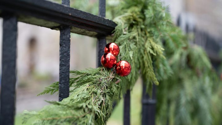 Jak urządzić ogród na Boże Narodzenie?